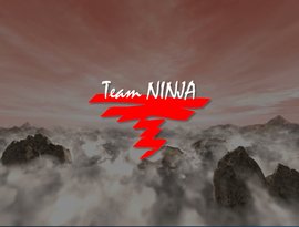 Avatar for Team Ninja