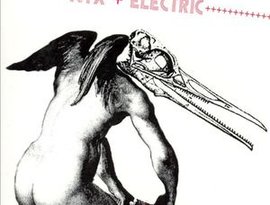NTX+Electric 的头像
