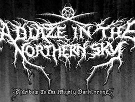 A Blaze In The Northern Sky 的头像