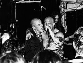 The New York Hounds 的头像
