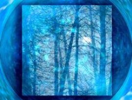 Аватар для Blue Forest