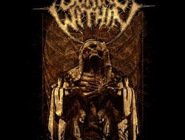 Avatar for Burial Within