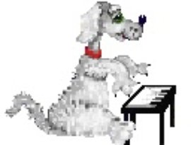Avatar for Piano Dog