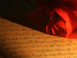 ahmet el acemi 的头像