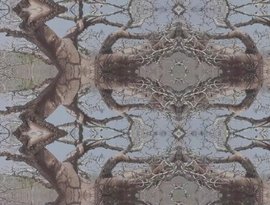 Avatar for Alex Haas, Bill Laswell