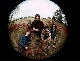 The Turtles のアバター