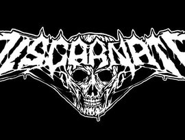 Discarnate 的头像