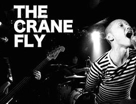 The Crane Fly 的头像