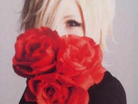 Avatar for 96猫