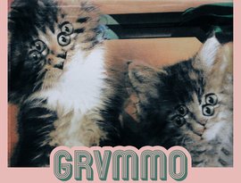 Avatar for GRVMMO