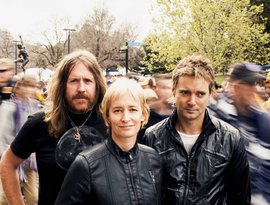 Avatar for Spiderbait