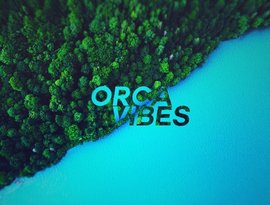 Orca Vibes 的头像