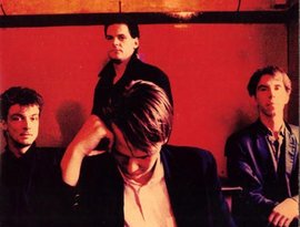 Awatar dla Element of Crime
