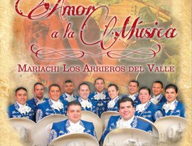 Mariachi Los Arrieros del Valle 的头像