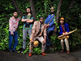 Champetos del JùJú 的头像