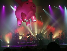 The Pink Floyd Experience 的头像