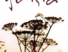 Frisia 的头像