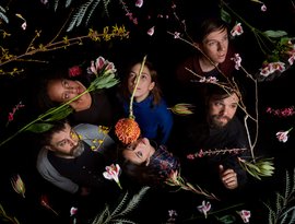 Avatar de Dirty Projectors