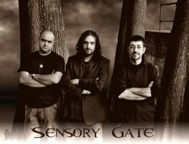 Sensory Gate 的头像