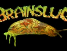 Avatar for Brainslug