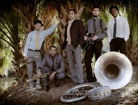 Avatar di The New Orleans Swamp Donkeys Traditional Jass Band