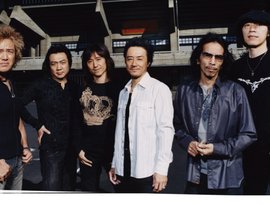 Hound Dog 的头像
