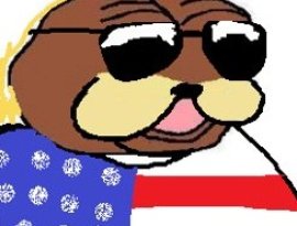 Avatar for American Bear