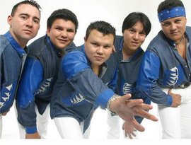 Avatar de Grupo Mandingo