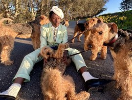 Avatar for Tyler, The Creator