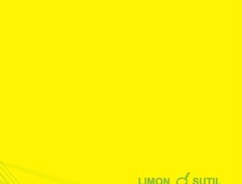Avatar for LIMON SUTIL