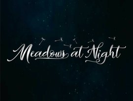 Avatar for Meadows at Night