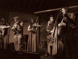 Avatar for Klondike 5 String band