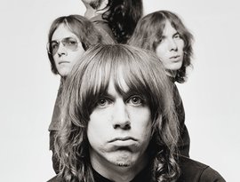 Awatar dla The Stooges