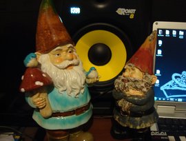 Nano Gnomes 的头像