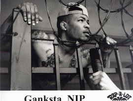 Avatar for Ganksta Nip
