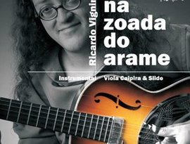 Avatar de Ricardo Vignini