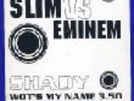 Avatar for Fatboy Slim Vs Eminem