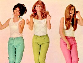 The Shangri-Las 的头像