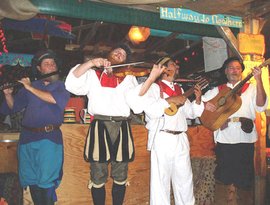 renaissance faire musicians