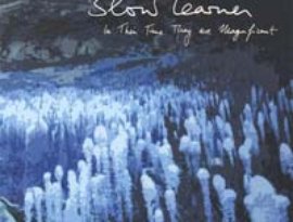 slow learner 的头像