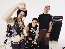 Avatar for The Distillers
