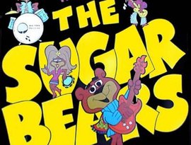 Avatar for The Sugar Bears