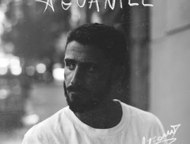 Avatar for Il Tano