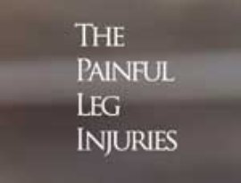 The Painful Leg Injuries 的头像