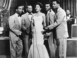 The Platters için avatar