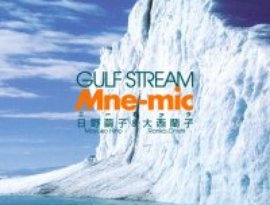 MNE - MIC 的头像