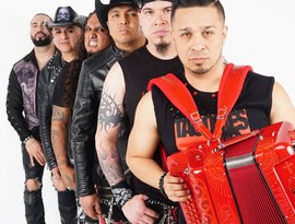 Avatar de Siggno
