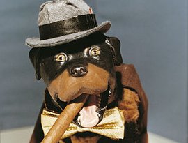 Triumph The Insult Comic Dog 的头像