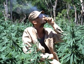 Avatar für Gentleman