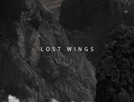 Awatar dla Lost Wings